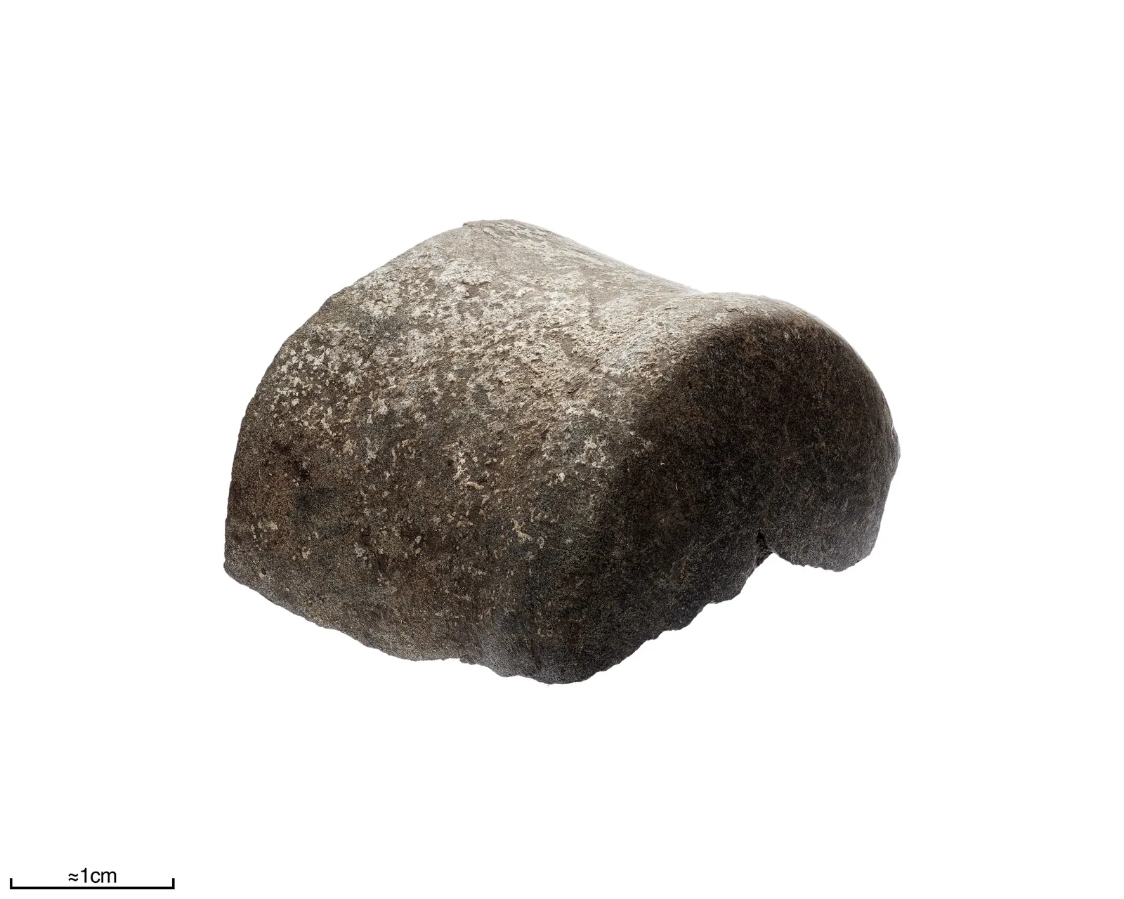 En båtyxa av sten från stridsyxekulturen (Historiska museet, 914269_HST). Sådana polerade yxor lades i mäns gravar i Sverige ca 2800–2350 f.Kr. – samma århundraden som Khufu, Khafre och Menkaure byggde i Giza.
