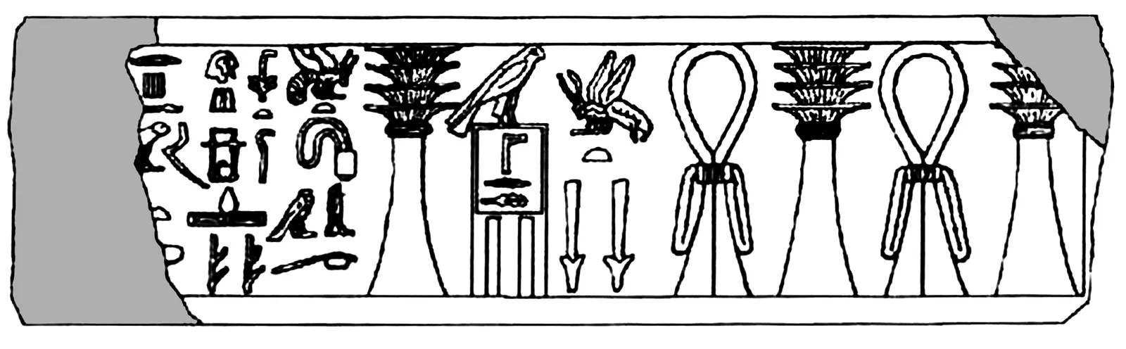 Omritning av inskriften på Djosers statysockel (Kairo JE 49889, funnen 1926): kungens namn bredvid Imhoteps namn och titlar.