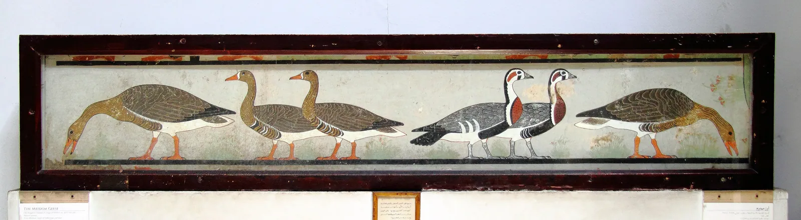 Gässen från Meidum, målad puts från kultkapellet åt Itet, Nefermaats hustru, ca 2600 f.Kr. (Egyptiska museet i Kairo, JE 34571 / CG 1742). Mariette och Vassalli tog ner dem 1871–72; ett förslag 2015 om att de skulle vara en förfalskning från 1800-talet har bestämt avvisats av egyptiska myndigheter.