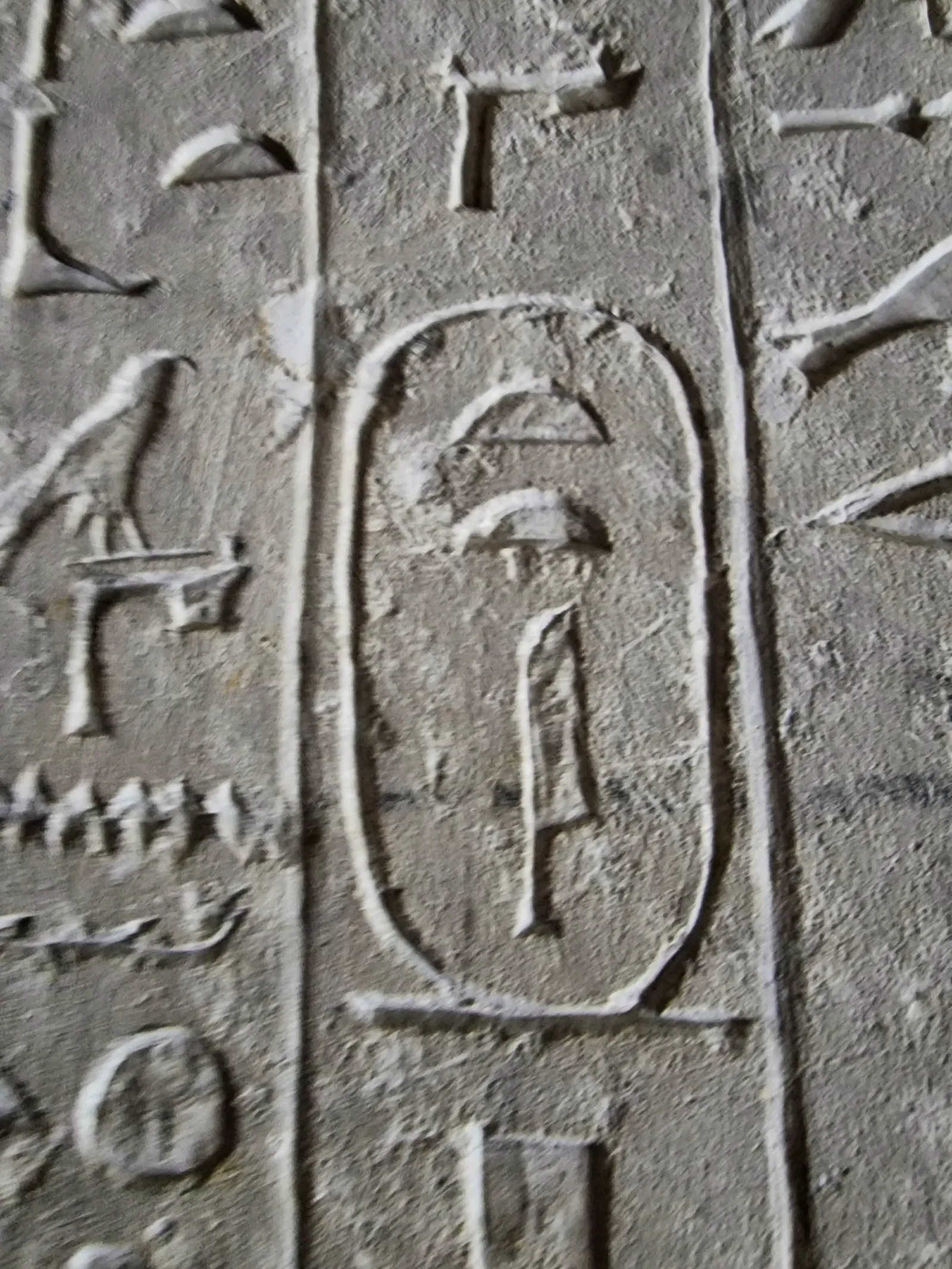 Tetis namn i sin kartusch, inhugget i pyramidtexterna i hans pyramid i Saqqara (ca 2330 f.Kr.) – en utmaning för gruppen den 17 oktober: vem hittar den först?
